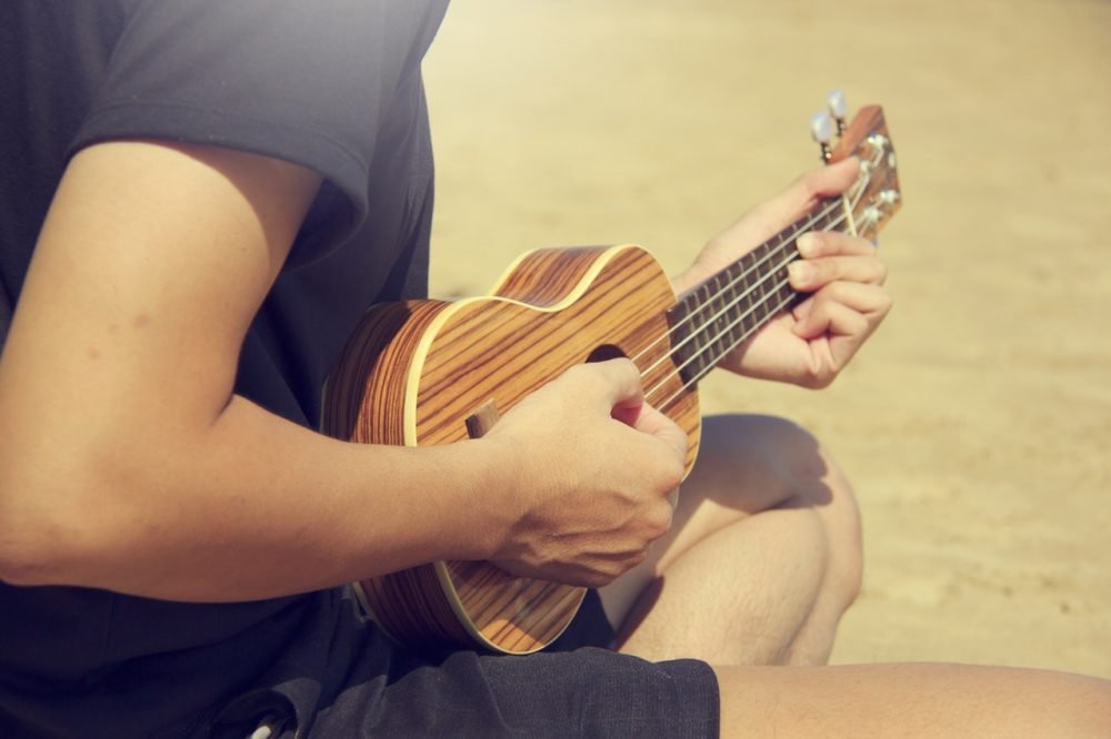 best starter ukuleles for beginers