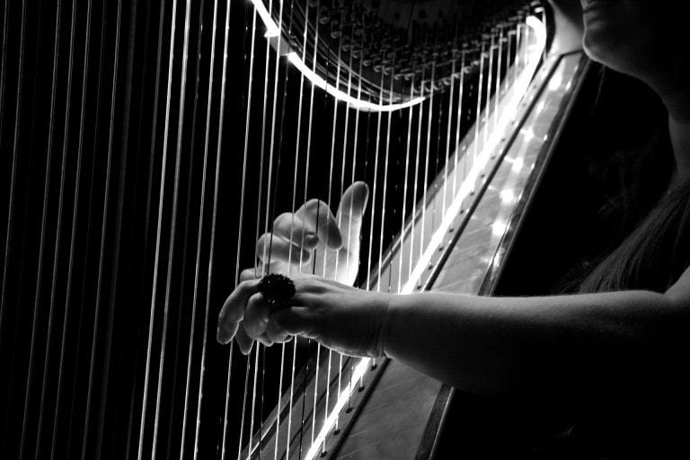 5 Best Harps For Beginners in 2023 (Reviews)