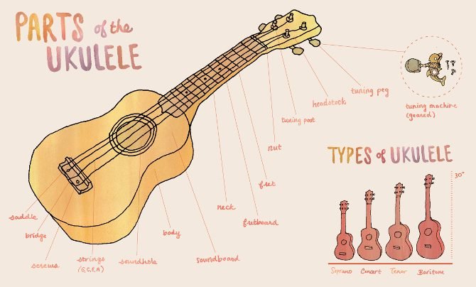 types of ukulele