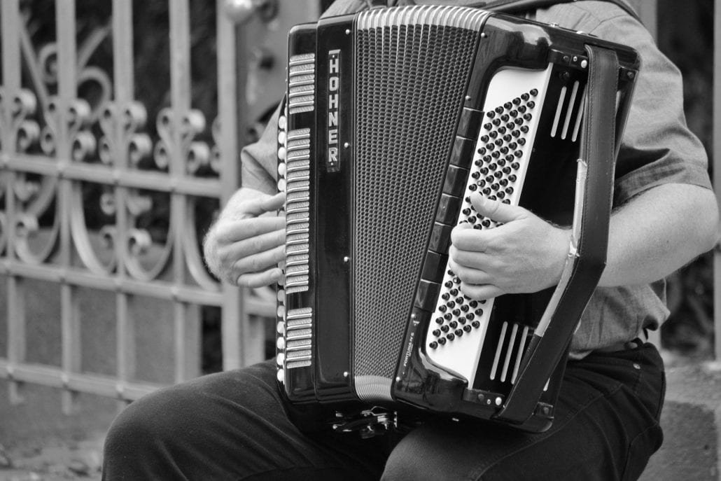 5 Best Accordions For Beginners in 2024(Reviews)