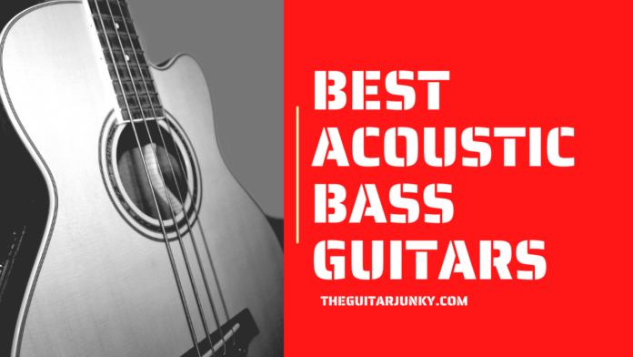 Best Acoustic Bass Guitars
