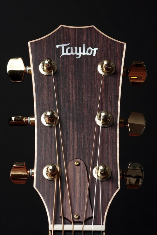 taylor 814ce acoustic guitar headstock