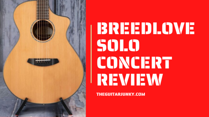 Breedlove Solo Concert Review