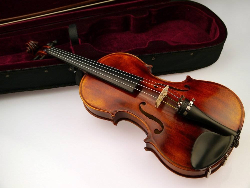 violin with case