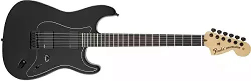 Fender Jim Root Signature Stratocaster Electric Guitar