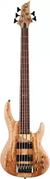 ESP LTD B-205SM Bass Guitar
