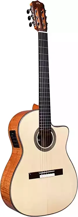 Cordoba Fusion 14 Acoustic-Electric Guitar