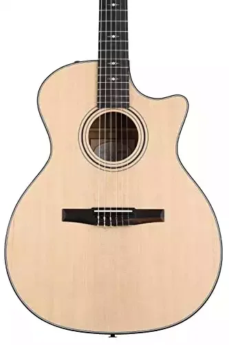 Taylor 314ce-N – Sapele Back and Sides