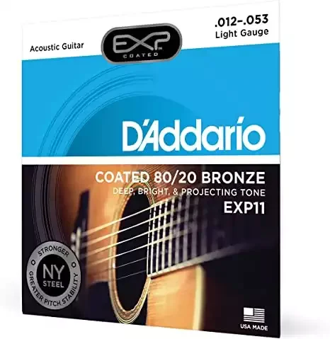 D'Addario EXP11 with NY Steel Strings