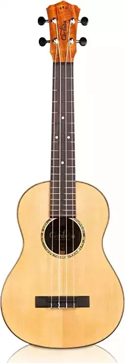 Cordoba 32T All Solid Tenor Ukulele with Polyfoam Case