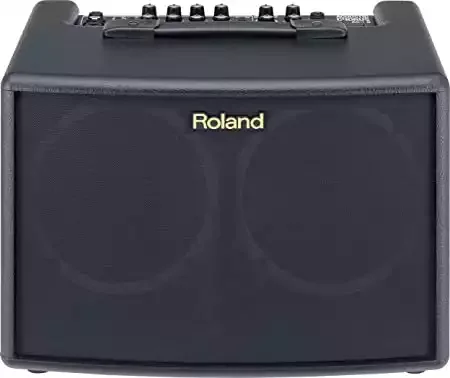 Roland AC-60 Amplifier