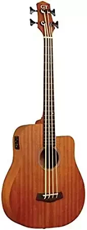 Gold Tone 4 String Bass Guitar (Mbass-25)