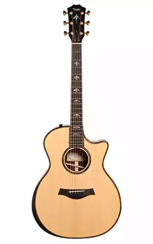 Taylor Guitars 914ce Acoustic Electric Guitar
