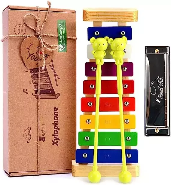 Xylophone for Toddlers and Kids