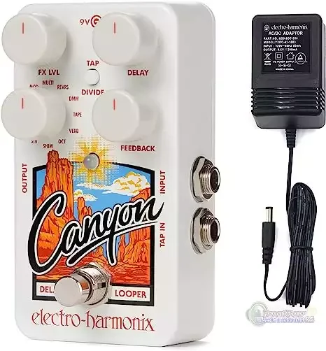Electro Harmonix Canyon Delay and Looper
