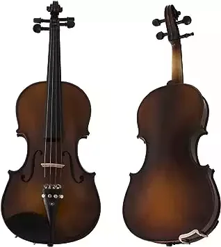 Cecilio CVN-EAV Ebony Fitted Solidwood Violin