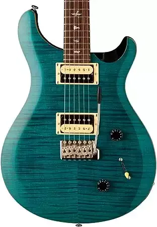 PRS Guitars 6 String SE Custom 22