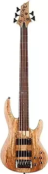 ESP LTD B-205SM Bass Guitar