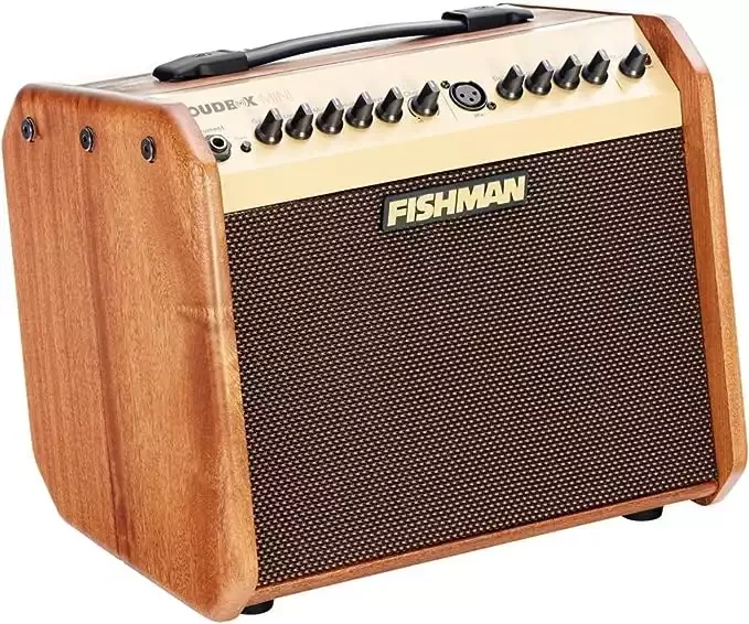 Fishman Limited Edition Loudbox Mini PRO